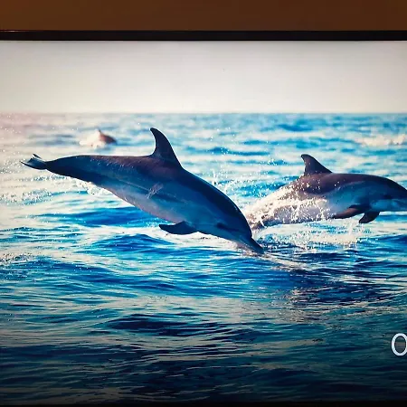 Cliff * Dunmore East