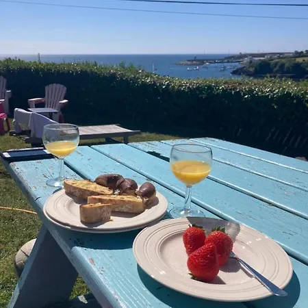 Cliff * Dunmore East