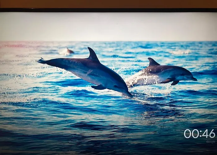 Cliff * Данмор-Ист