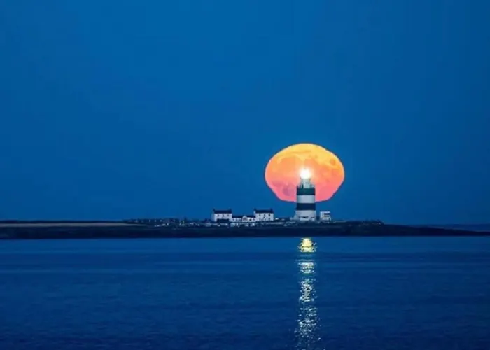 Дом отдыха Cliff Данмор-Ист